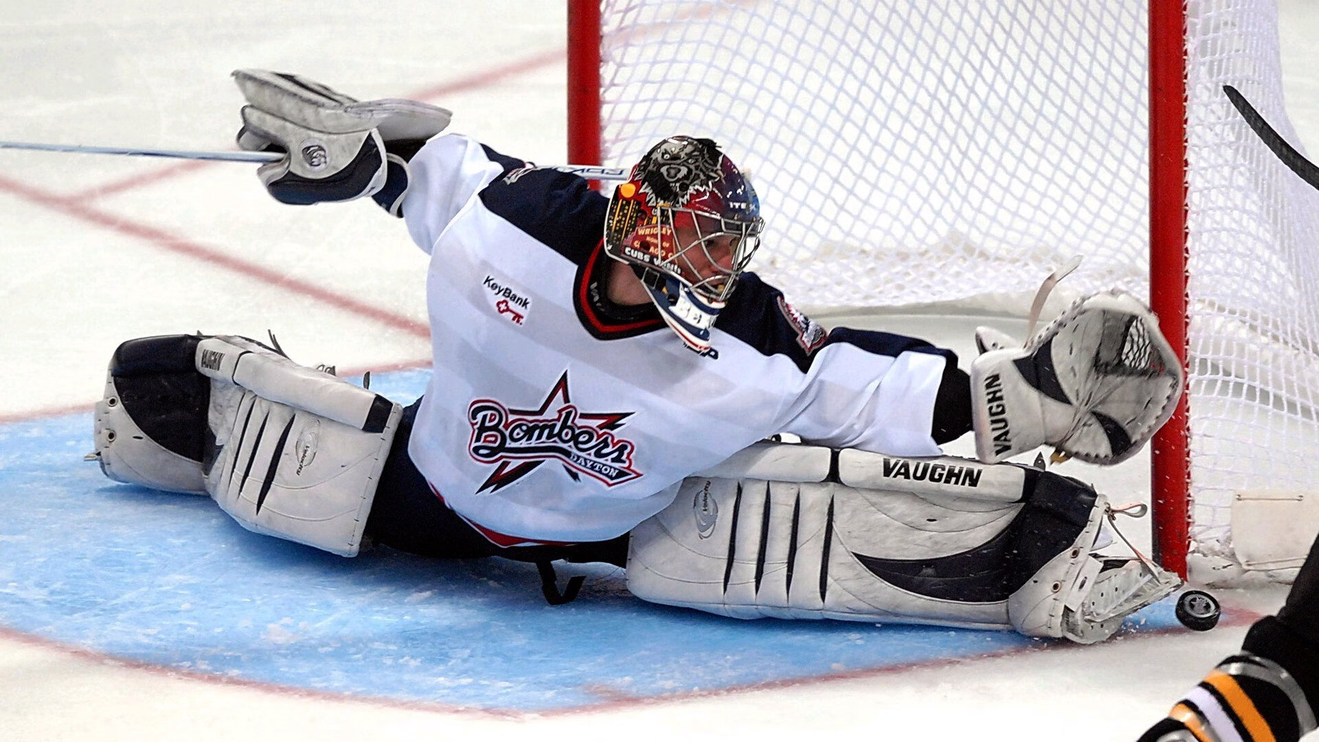 “非洲雄狮”雪地奔袭90米破门！冬奥热搜第一！，最新非洲雄狮纪录片